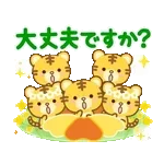 大人のためのねこ動く花畑トラ(虎）まみれ