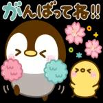 ぺんぺんの春❤️