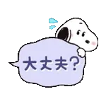 こんばんは	通知が2件🚨🚨