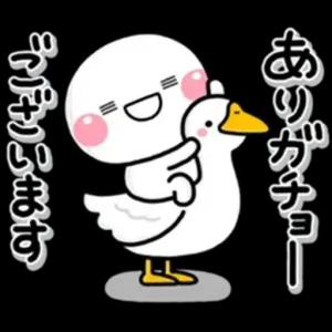 z3b5dfv