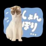 まるちゃんスタンプ＃1