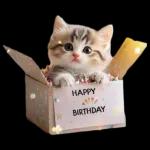 クーポンコード: HAPPYBDAY