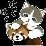 深夜はスマホを置いて😪😪