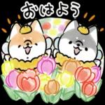 自分の生活に忠実である