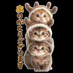 大きく表示♡冬にゃんこ