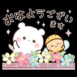 やっと晴れてきたかな？