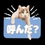 まるちゃんスタンプ＃1