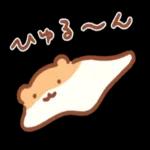 ニャー星人の楽園🥰