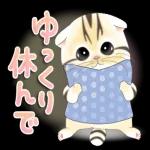 かわいい猫😺が来ますよ！