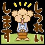  【敬語と連絡用】プーのぷう太郎