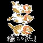 温かい祝日の贈り物