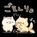 となりのにゃんこ　summer2022