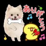 かわいいわんちゃん