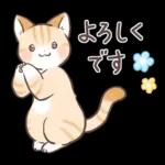 スナネコのサシャ 2