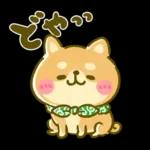 ゆるっとかわいい日常メッセージ☆