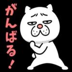 😍憧れ💕アルバム