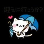 気づかいのできるネコ♪夏・梅雨編