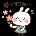 ✨白うさぎさん🐰