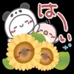 はーい！白玉です22❤夏