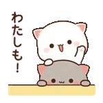 なんでやねん！開けてみぃや🤣📲