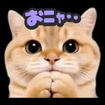 可愛い猫スタンプ！！