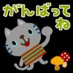絵本みたいな＊毎日使えるちびねこ