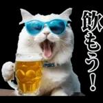 夏☆にゃんこ