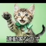 ENFPにゃんこスタンプ