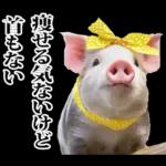 リアル☆メスブタ 3