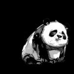 panda123のスタンプ