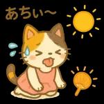 三毛猫の幸せな夏の生活