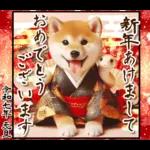 柴犬と白蛇の幸運あけおめスタンプ♡