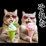 夏☆にゃんこ