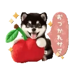 🎊新スタンプ、使ってみてね！