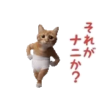 *dance! dancing Cat wearing shorts