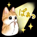 夏☆猫たちのスタンプ_-_