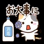 毎日楽しい★おちゃめなアメショ