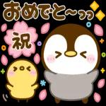 ぺんぺんの春❤️