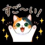 三毛猫のつめあわせ【秋】