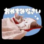 まるちゃんスタンプ＃1