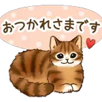 久しぶり🤩🤩🤩