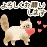 ようこそお参りします