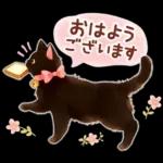 黒猫のつめあわせ♪