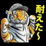 大阪神戸の野球好き虎ファン向け2