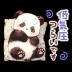 แพนด้าด้วยความเคารพ