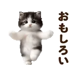 秘密のギフトが開封待ち