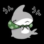 おでかけ子ザメ