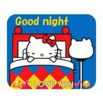 Good night I LOVE YOU