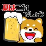 豆柴「夏を感じる」