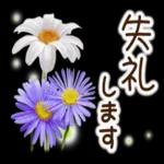 ★ずっと使える！丁寧なお花の挨拶スタンプ